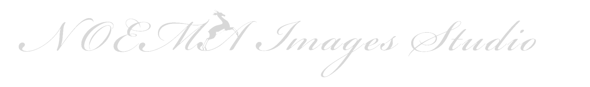 NOEMA images STUDIO